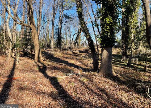 Property at 6011 Tick Town Rd, Stockton, MD 21864