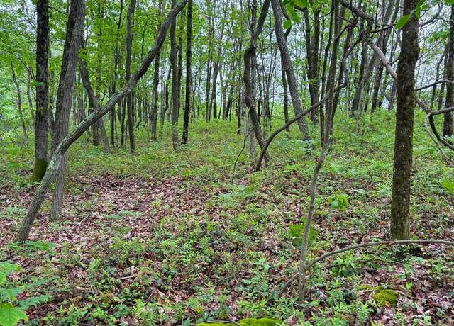 Property at 184 Salem Mountain Rd, Carbondale, PA 18407