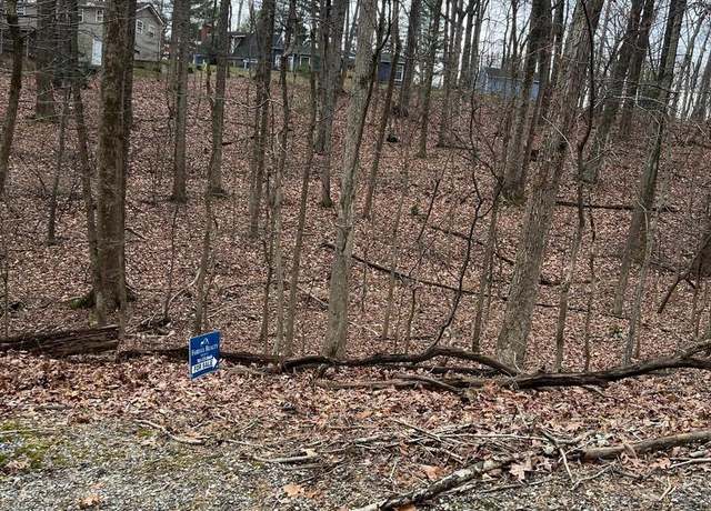 Property at Laurel Ln, Bluemont, VA 20135