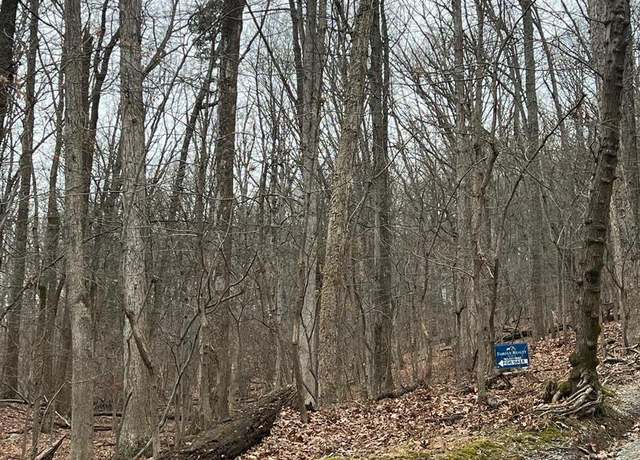 Property at Beechwood Ln, Bluemont, VA 20135