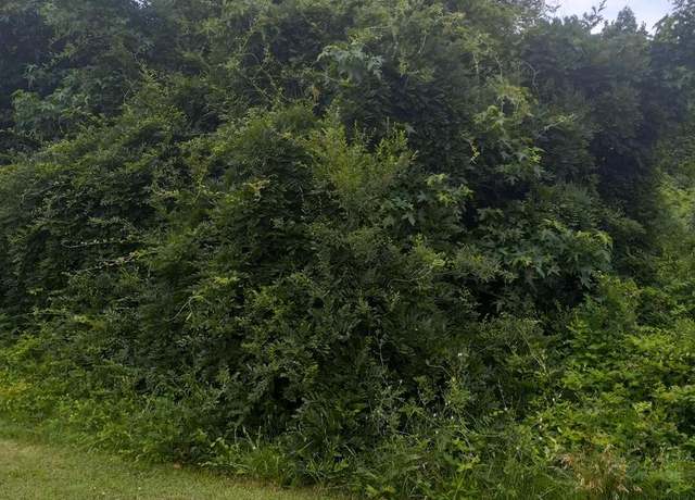 Property at 0 Lewis Estates Lane - Lot 3, Spotsylvania, VA 22553