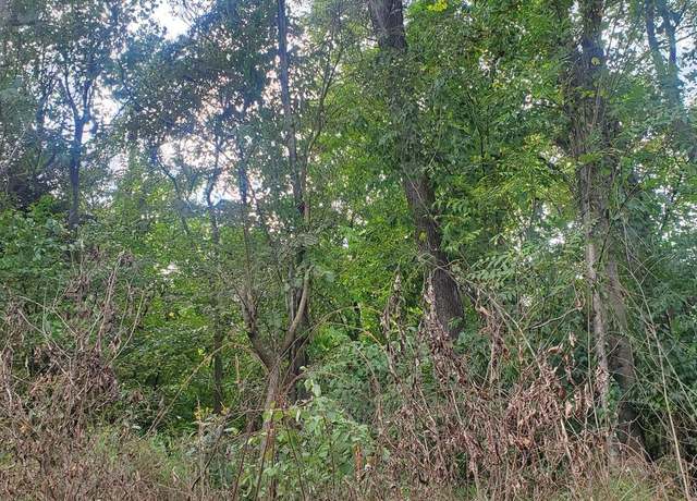Property at Lot 354 River View Shores Dr, Front Royal, VA 22630