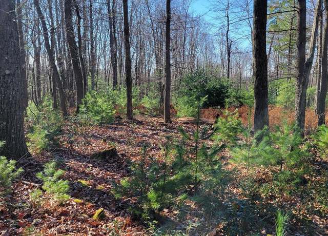 Property at 0 Deer Creek Rd, Morrisdale, PA 16858