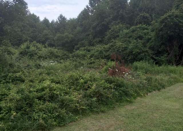 Property at 0 Lewis Estates Lane - Lot 4, Spotsylvania, VA 22551