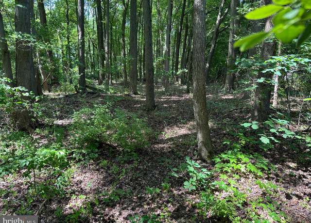 Property at Lot 7 Maple Dr Lot 7, Stevensville, MD 21666