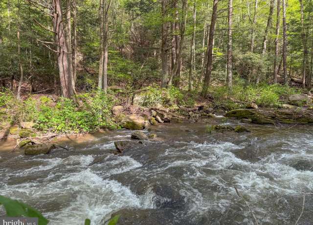 Property at Spring Lick Rd, Swanton, MD 21561