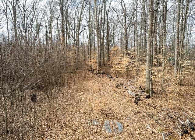 Property at 1306 John Brown Rd, Queenstown, MD 21658