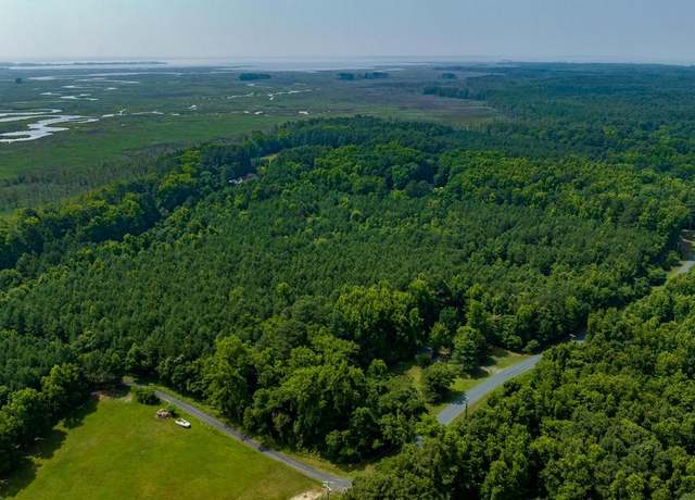 Property at 0 Jesterville Rd, Tyaskin, MD 21865