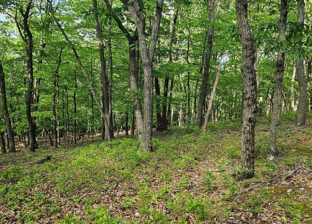 Property at 0 Dry Run Rd/ Polecat Hollow Rd, Mercersburg, PA 17236