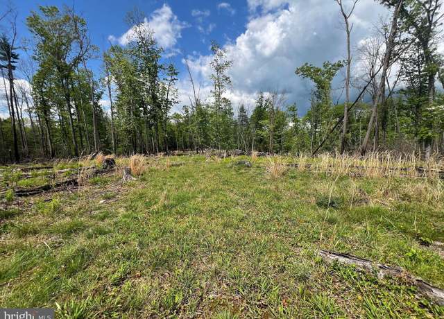 Property at 0 Falcon Rd, Mathias, WV 26812