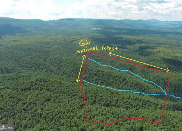 Property at 120 Acres On George Washington National Frst, Yellow Spring, WV 26865