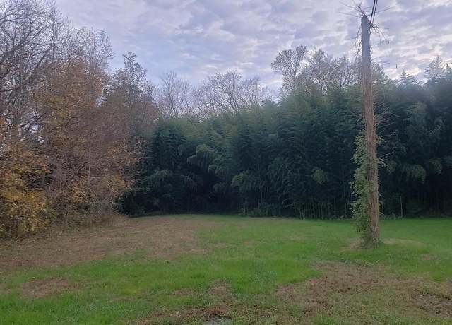 Property at 0 Lighthouse Rd, Selbyville, DE 19975