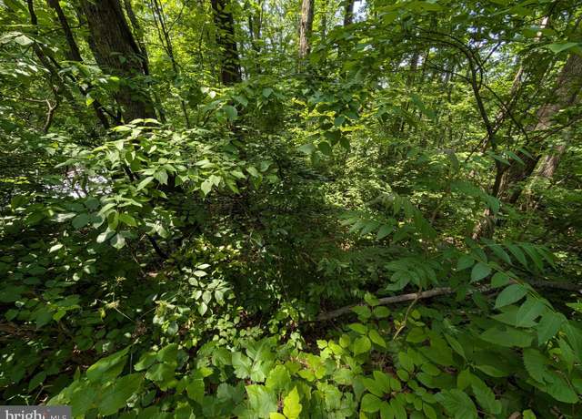 Property at Lot 104 Summit Point Dr, Front Royal, VA 22630