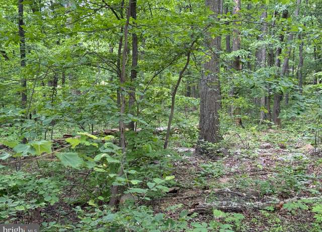 Property at Lot 12 Raccoon Dr, Winchester, VA 22602