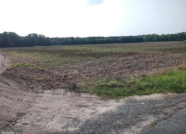 Property at 0 Rounds Rd, Pittsville, MD 21850