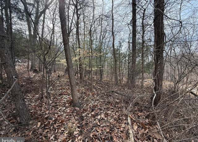 Property at Lot 62 Roaches Run Rd, Front Royal, VA 22630