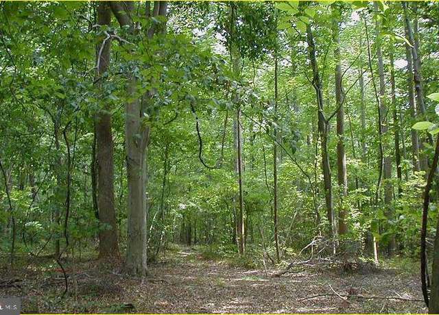 Property at 12605 Cedarville Rd, Brandywine, MD 20613
