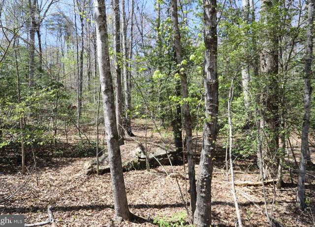Property at New Hampshire Rd, Rhoadesville, VA 22542