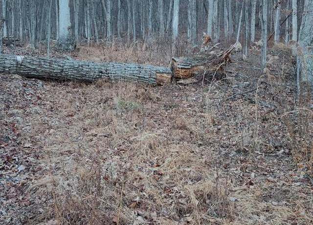 Property at Dove Dr, Paw Paw, WV 25434