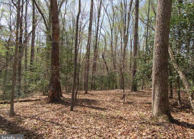 Property at Diamond Glen-LOT 3 Old Office Rd, Rhoadesville, VA 22542
