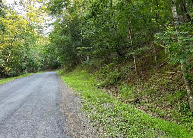 Property at Lot 161 Lee Rd, Basye, VA 22810