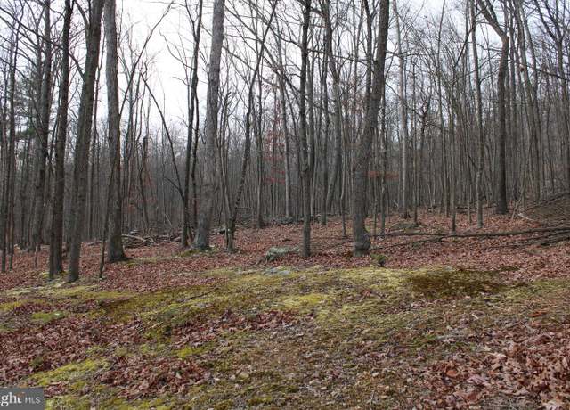 Property at 14.29 AC Whispering Pines Rd, Slanesville, WV 25444