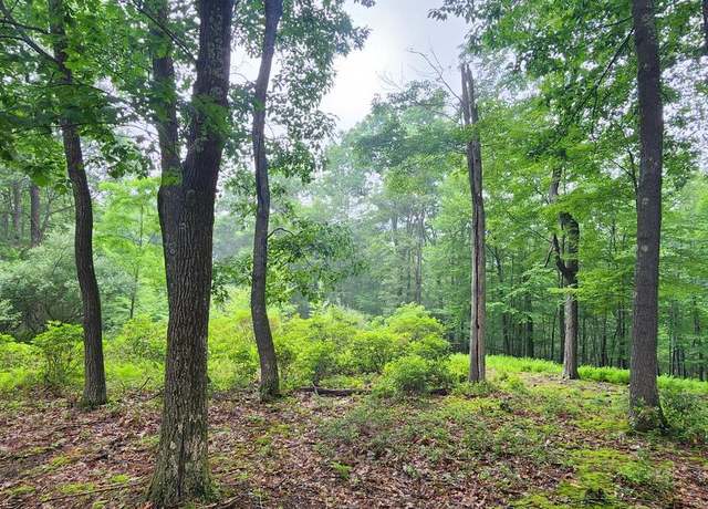 Property at Normas Way #11, Mc Henry, MD 21541