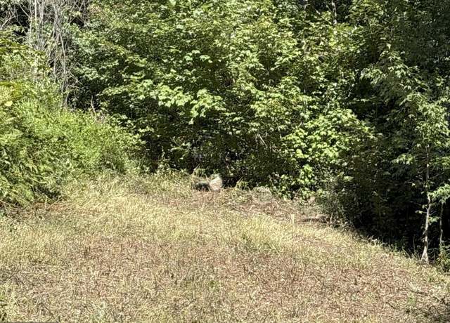 Property at Iroquois Trl, Winchester, VA 22602