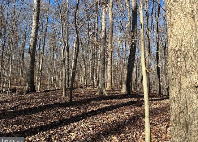Property at 9106 Potomac Ridge Rd, Great Falls, VA 22066