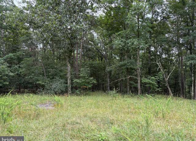 Property at 9.31 AC Pine Tree Dr, Bloomery, WV 26817