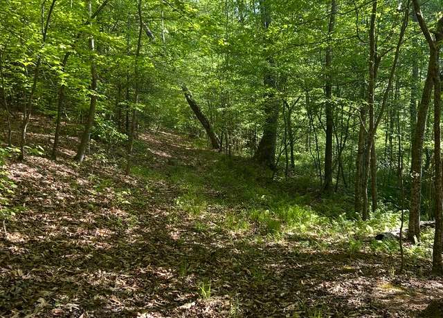 Property at Lot 1 Wallace St, Warsaw, VA 22572