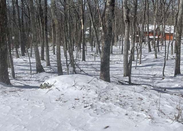 Property at 80 Beech Dr, Wintergreen, VA 22958