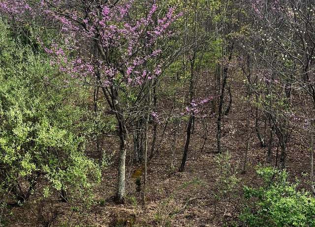 Property at Lot J Annandale Dr, Gerrardstown, WV 25420