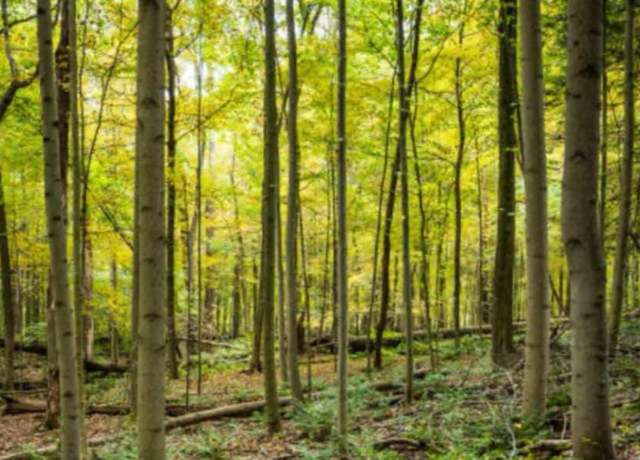 Property at Trevor Dr-280 N Trevor, Great Cacapon, WV 25422