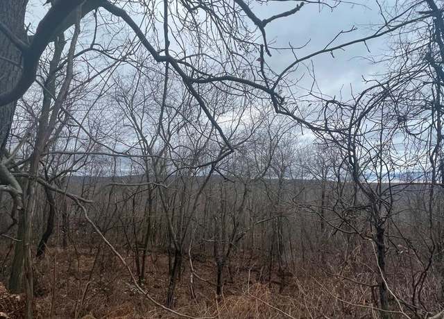 Property at 17629 Shirleys Knob Rd, Cassville, PA 16623