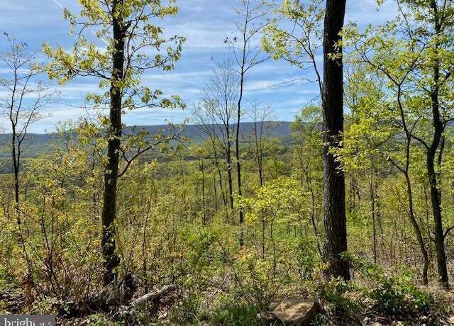 Property at Lot 6 Polecat Hollow Rd, Hopewell, PA 16650