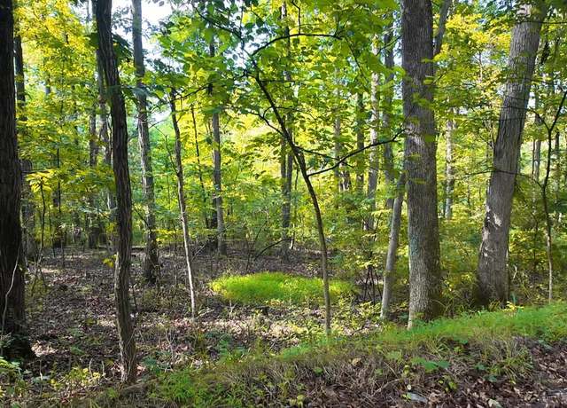 Property at Lot 42 Shale Hill Ln, Augusta, WV 26704