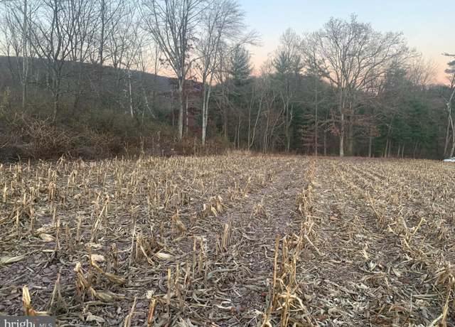 Property at 0 West Side Of Stein Rd, Ashland, PA 17921