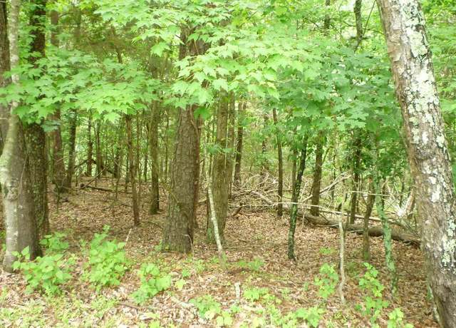 Property at Lot 180 Stuart Dr, Basye, VA 22810