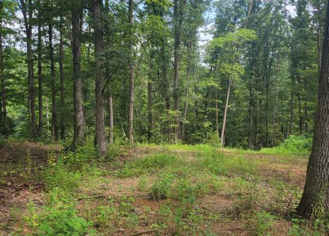 Property at 2.010 AC Lot 33, Augusta, WV 26704