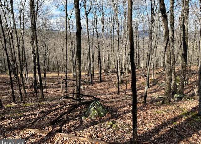 Property at 21.57 AC Lost River Gln, Rio, WV 26755