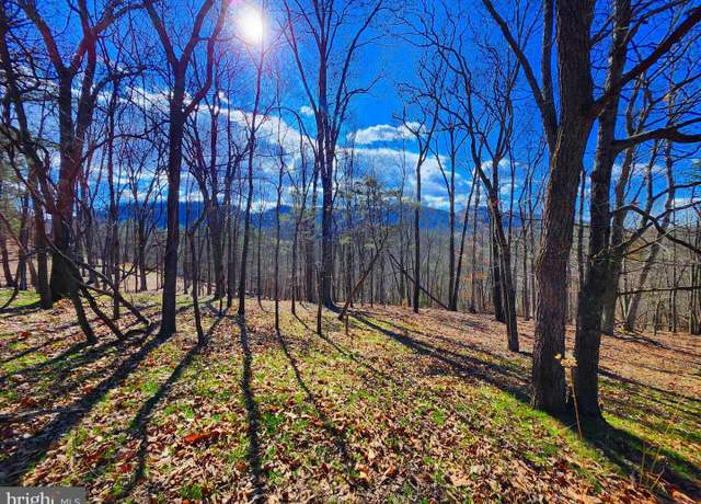 Property at LOT 24 Old Mountain Run Trl, Purgitsville, WV 26852
