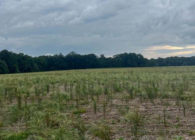 Property at Lot 9 Salem Church Rd, King George, VA 22485