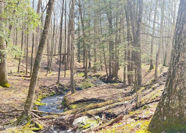 Property at Lot 155 Tinkwig Dr, Lackawaxen, PA 18435