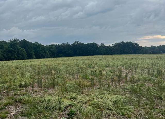 Property at Lot 10 Salem Church Rd, King George, VA 22485