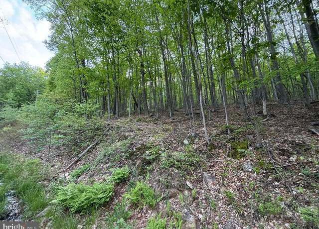 Property at 0 Cherry Run Rd, Bedford, PA 15522