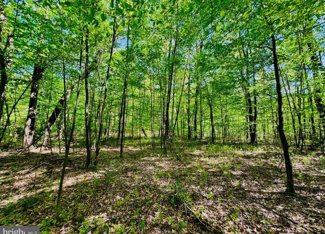 Property at Lot: 15 Paradise Pt, James Creek, PA 16657