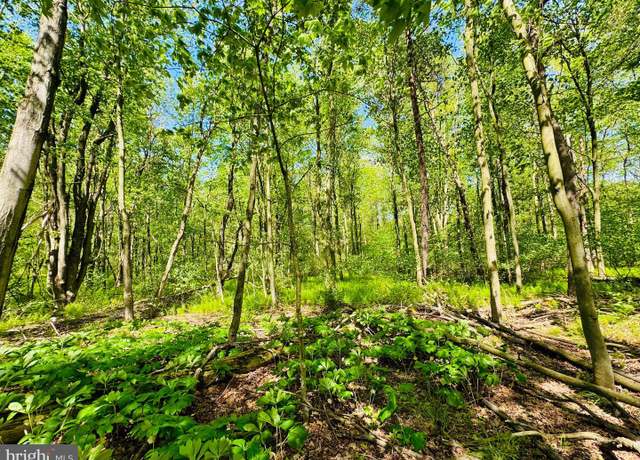 Property at Lot: 37 Paradise Pt, James Creek, PA 16657
