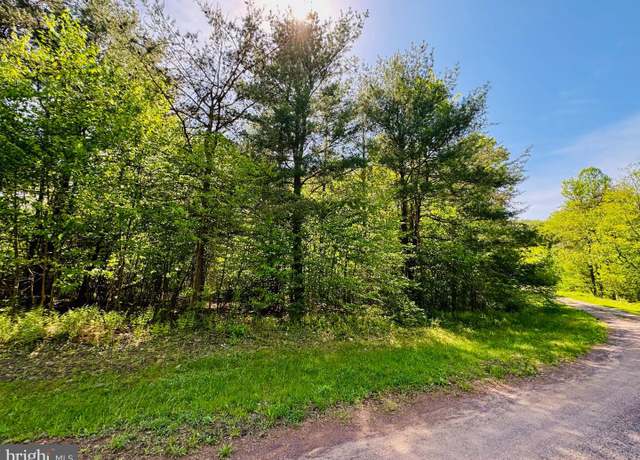 Property at Lot: 42 Paradise Pt, James Creek, PA 16657