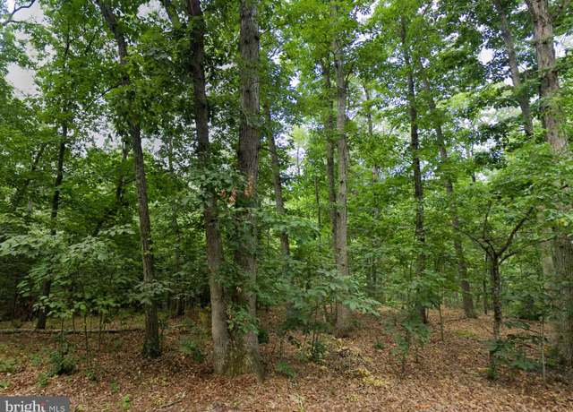 Property at 00 Level Hill Rd, Luray, VA 22835